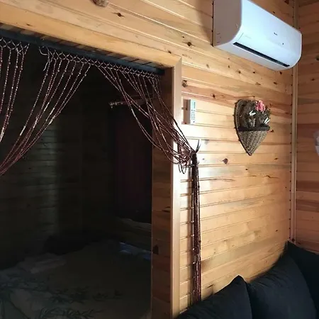 Adam's Bungalows&camping Homestay