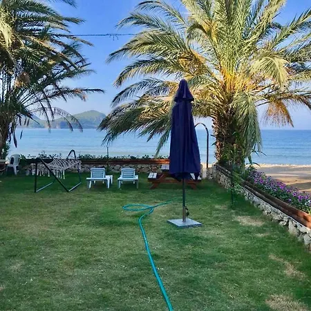 Adam's Bungalows&camping Homestay *