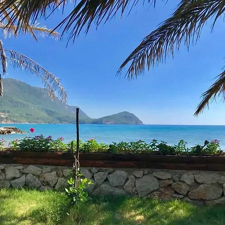Adam's Bungalows&camping Mavikent
