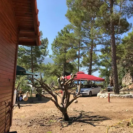 Adam's Bungalows&camping Mavikent