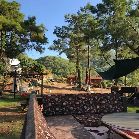 Homestay Adam's Bungalows&camping