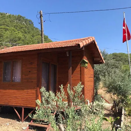 Adam's Bungalows&camping *