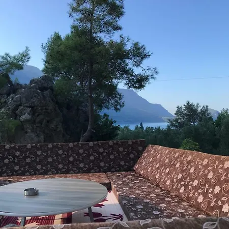 Adam's Bungalows&camping Homestay *
