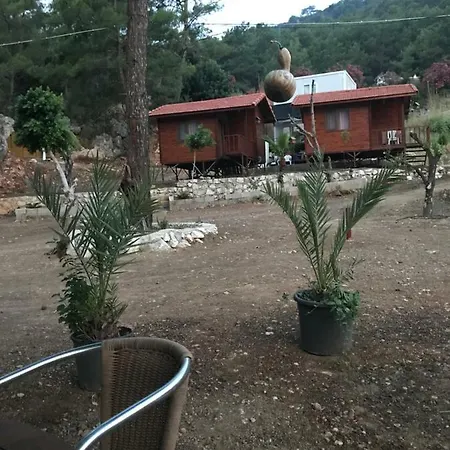 Adam's Bungalows&camping Mavikent