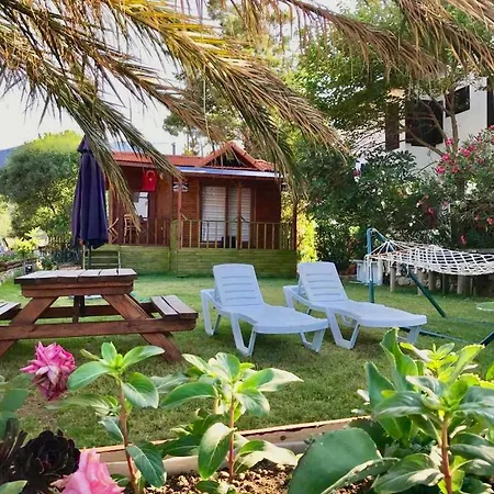 ホームステイ Adam's Bungalows&camping *