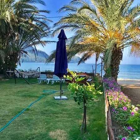 ホームステイ Adam's Bungalows&camping *
